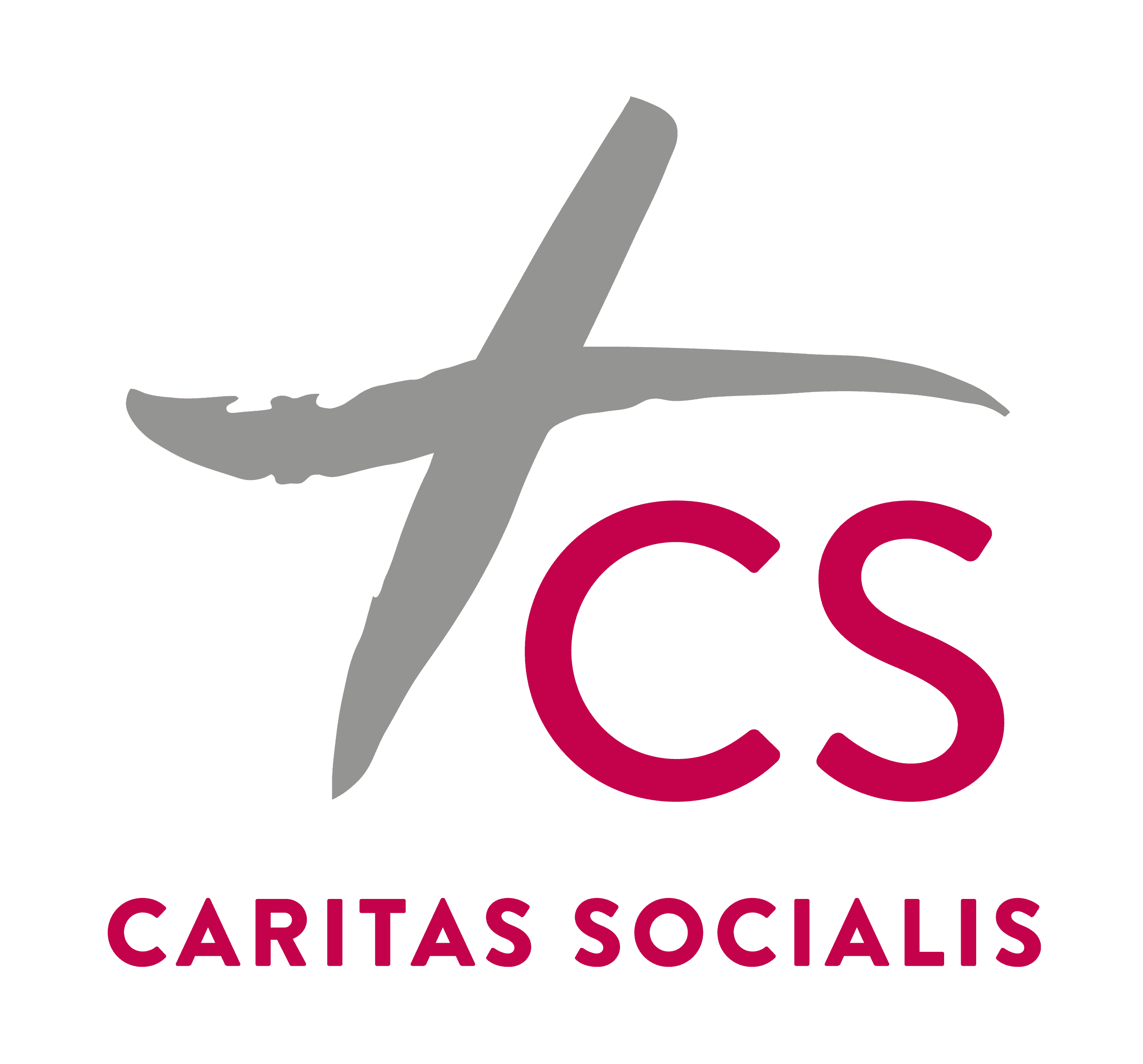 CS Caritas Socialis GmbH logo